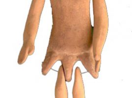 Clay doll (plaggona in ancien Greek) with modular limbs and a flattened back side of the body